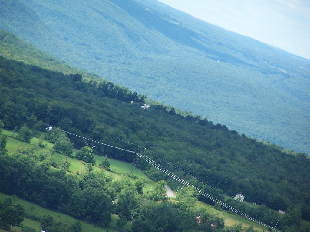 Photo: Powerlines Photo: Powerlines
