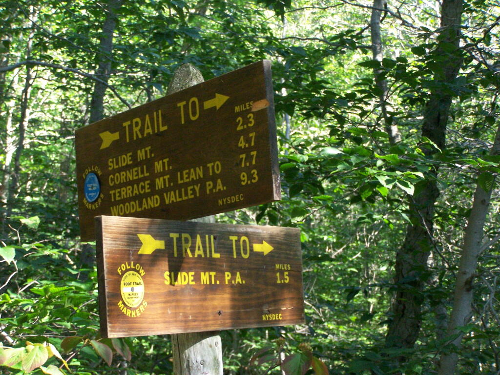 Photo: Signs Photo: Signs