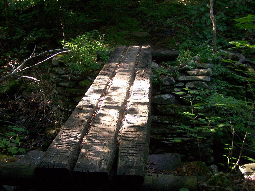 Photo: Foot Bridge Photo: Foot Bridge