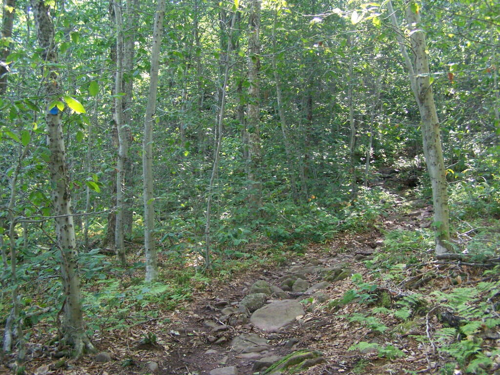Photo: Curtis-Olmsbee Winds Uphill Slowly Photo: Curtis-Olmsbee Winds Uphill Slowly