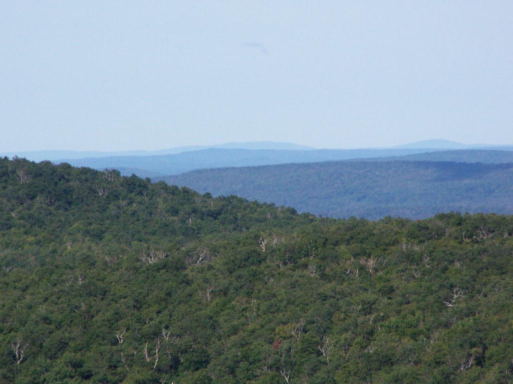 Photo: Views to the South Photo: Views to the South