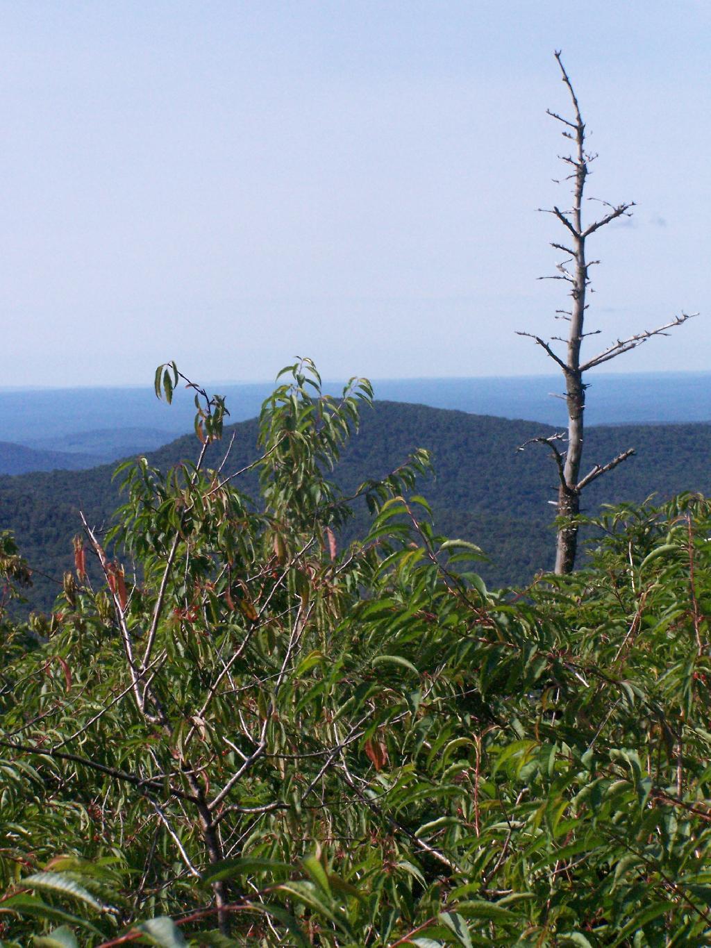 Photo: Asohakan High Peak Photo: Asohakan High Peak