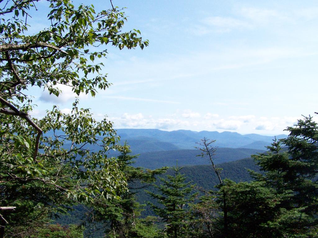 Photo: Views North Photo: Views North