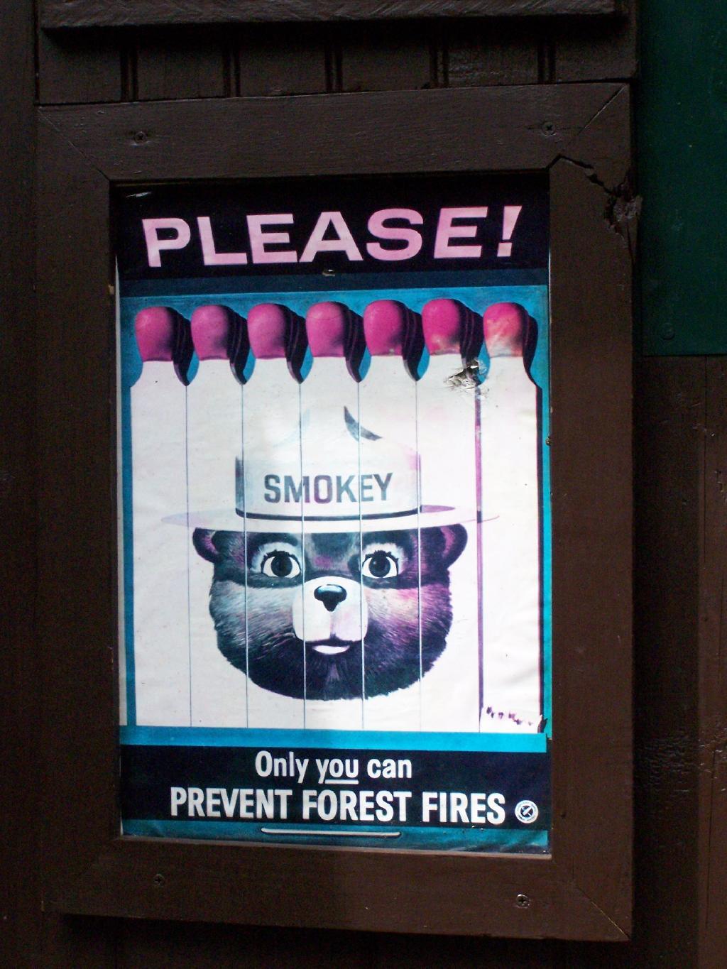 Photo: Only You Can Prevent Forest Fires Photo: Only You Can Prevent Forest Fires