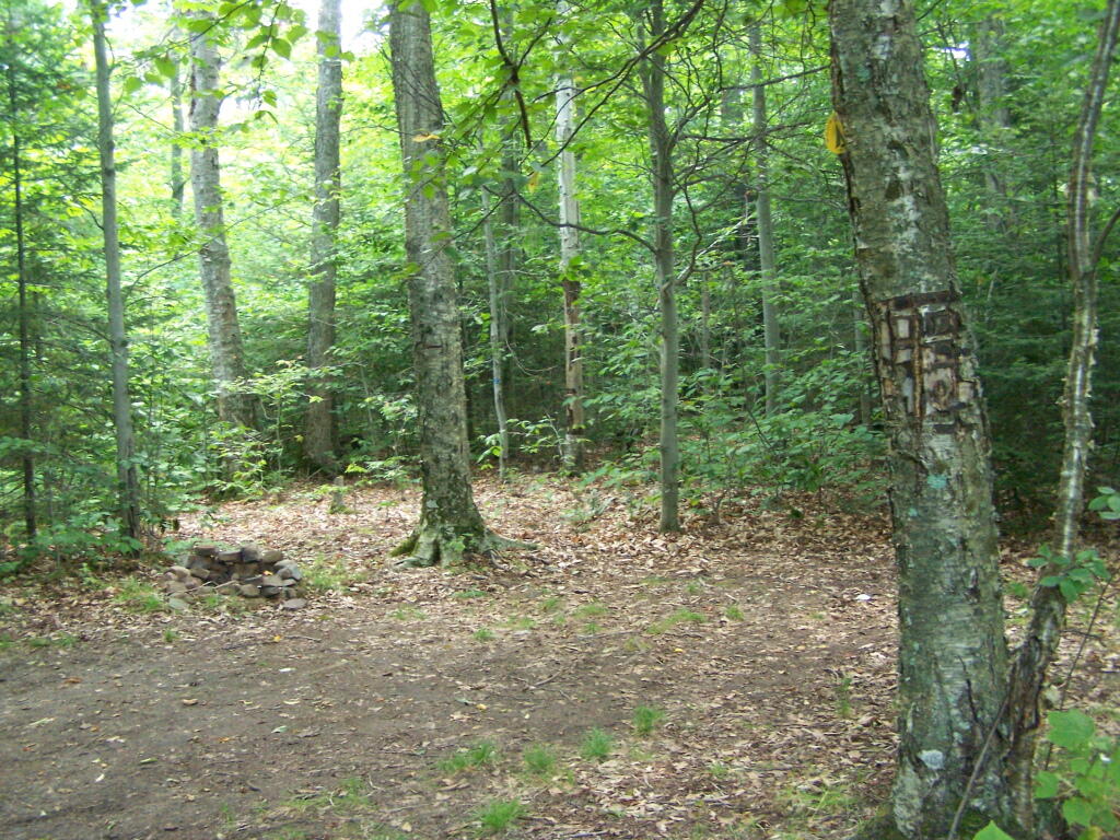 Photo: Alternative Campsite Photo: Alternative Campsite