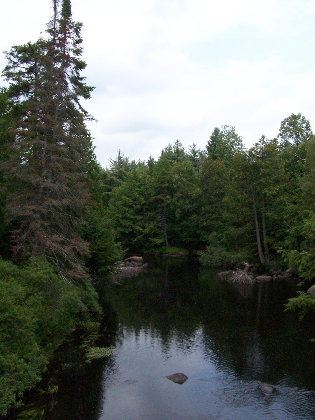 Photo: Deer River Photo: Deer River