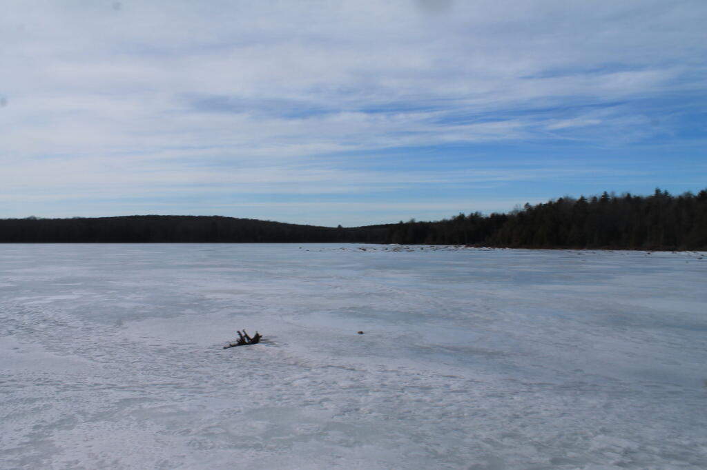 Photo: The Pond Photo: The Pond