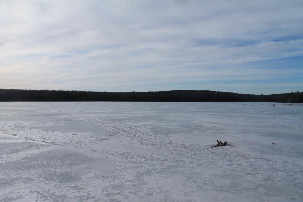 Photo: Ice Photo: Ice