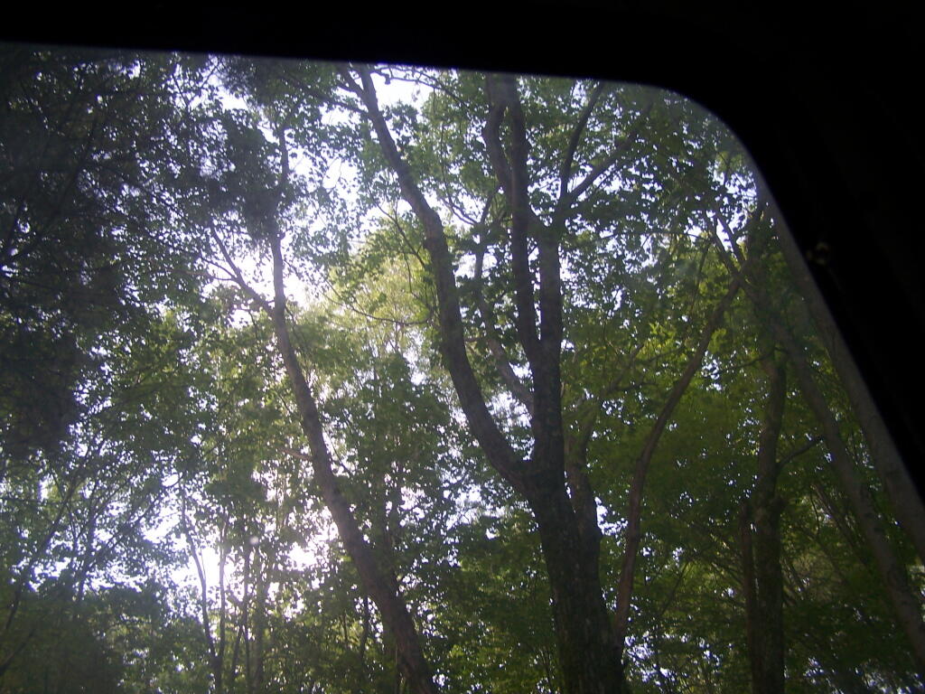 Photo: Thru Truck's Window Photo: Thru Truck's Window