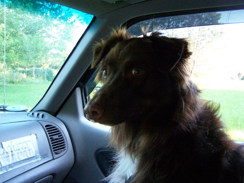 Photo: Truck Ride !! Photo: Truck Ride !!