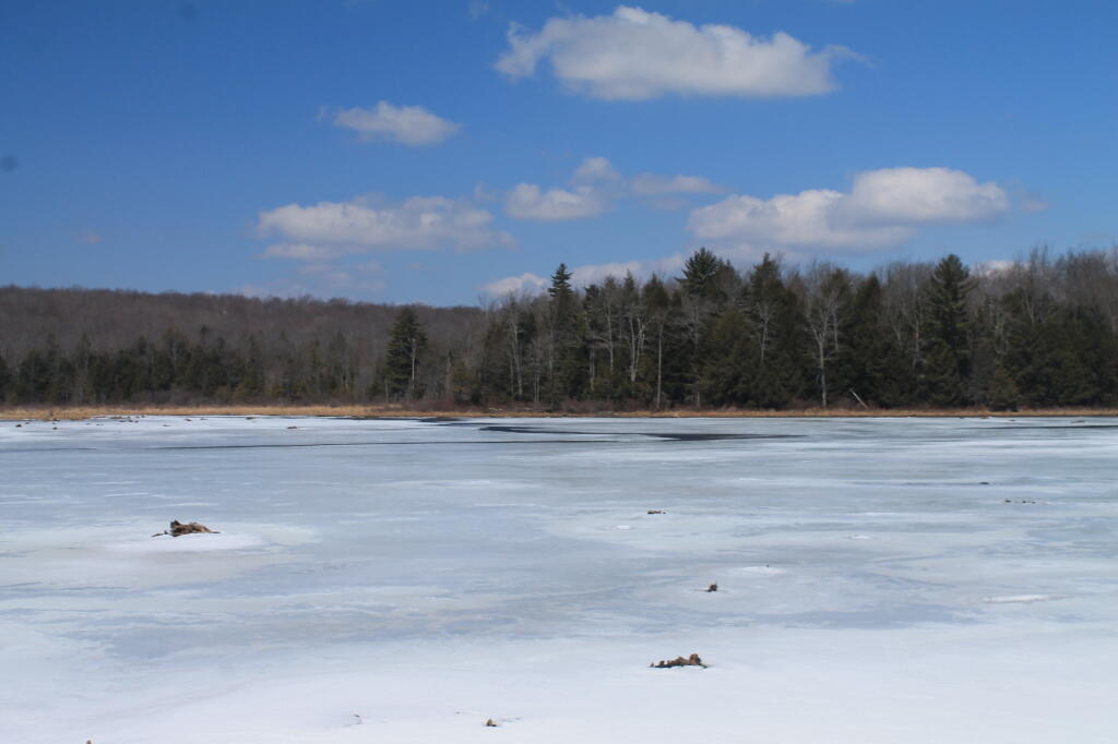 Photo: Bowman Lake