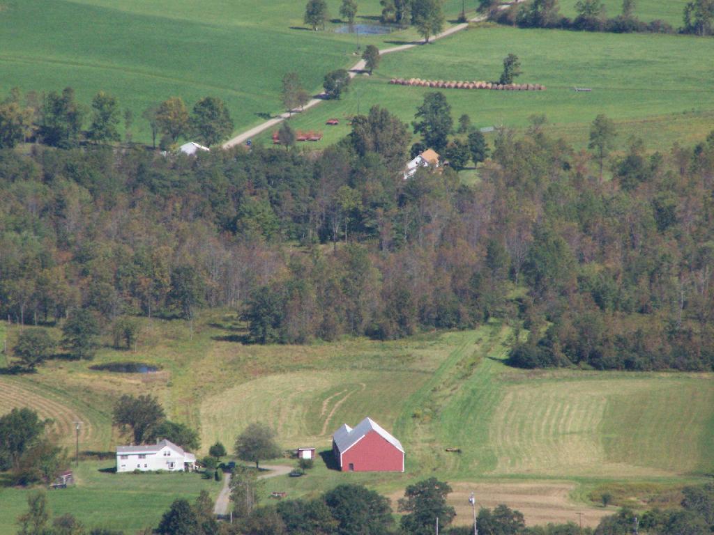 Photo: Farms