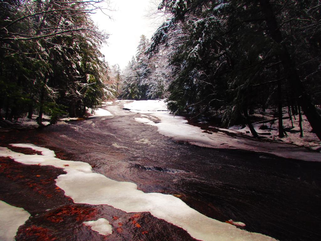 Photo: Bear Slide Falls Photo: Bear Slide Falls