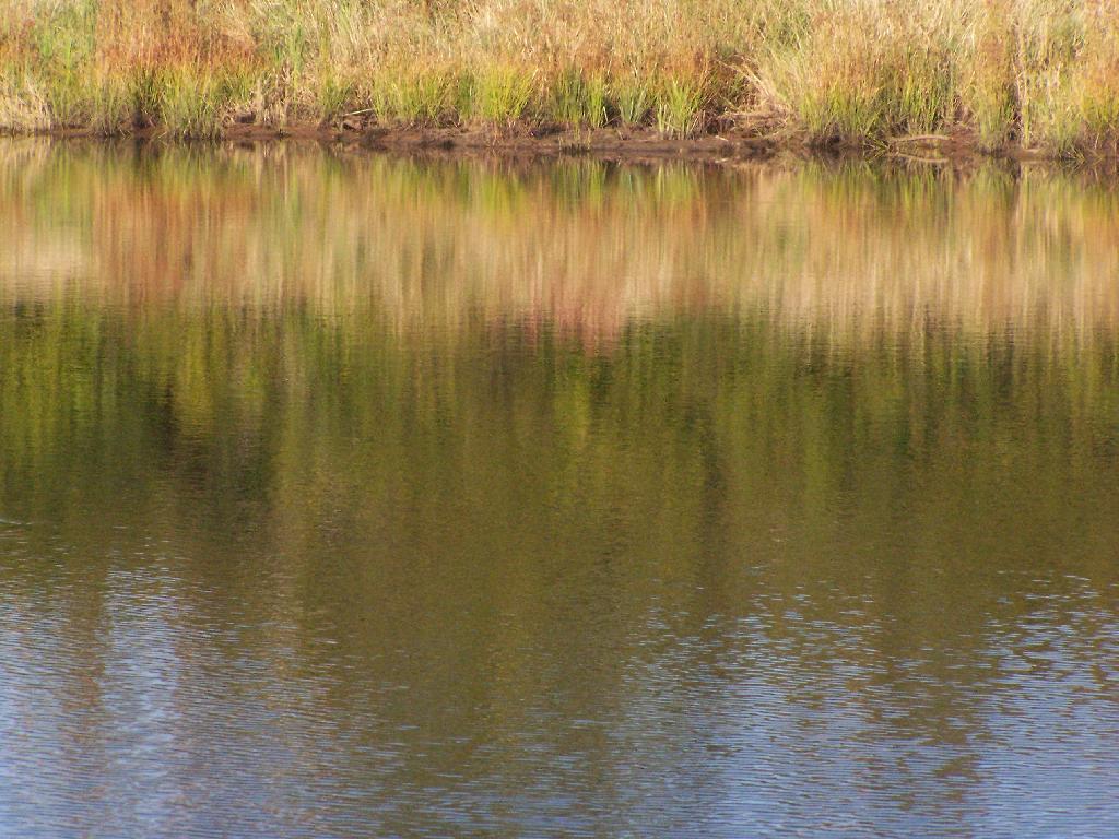 Photo: Reflection