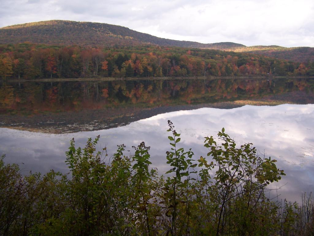 Photo: Stoppel Point Reflects Photo: Stoppel Point Reflects