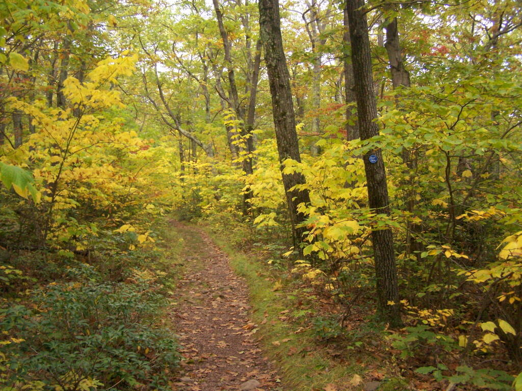 Photo: Further Down the Trail Photo: Further Down the Trail