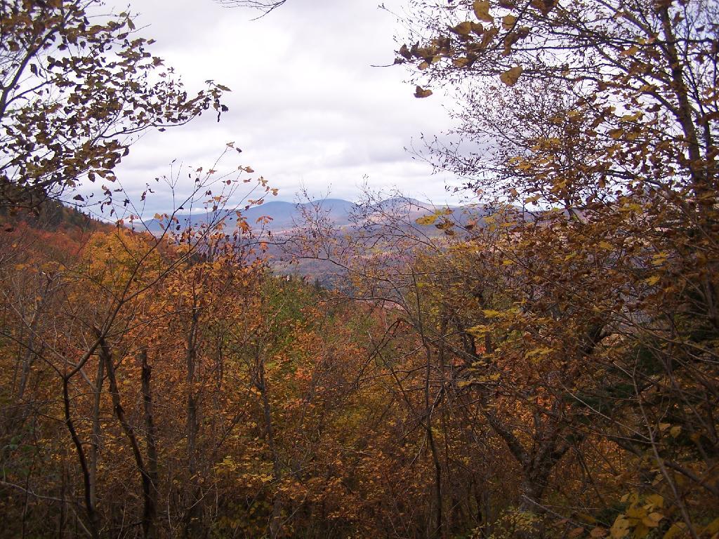 Photo: TriMount from Jimmy Dolan Notch Photo: TriMount from Jimmy Dolan Notch