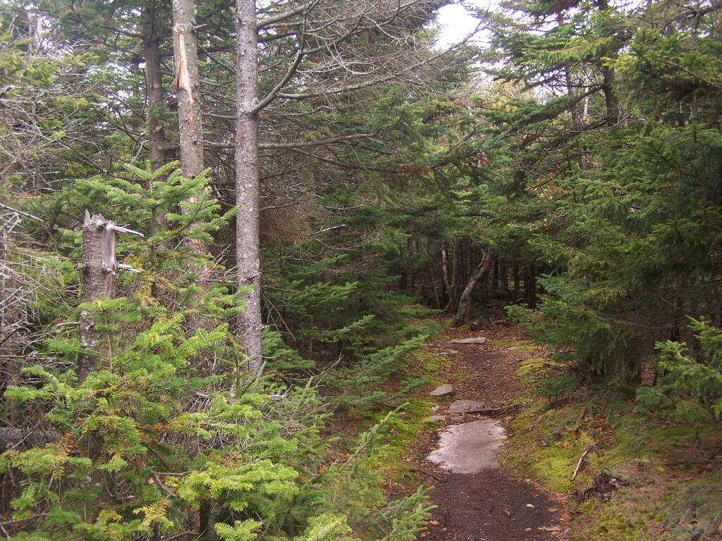 Photo: Top of Indian Head Photo: Top of Indian Head