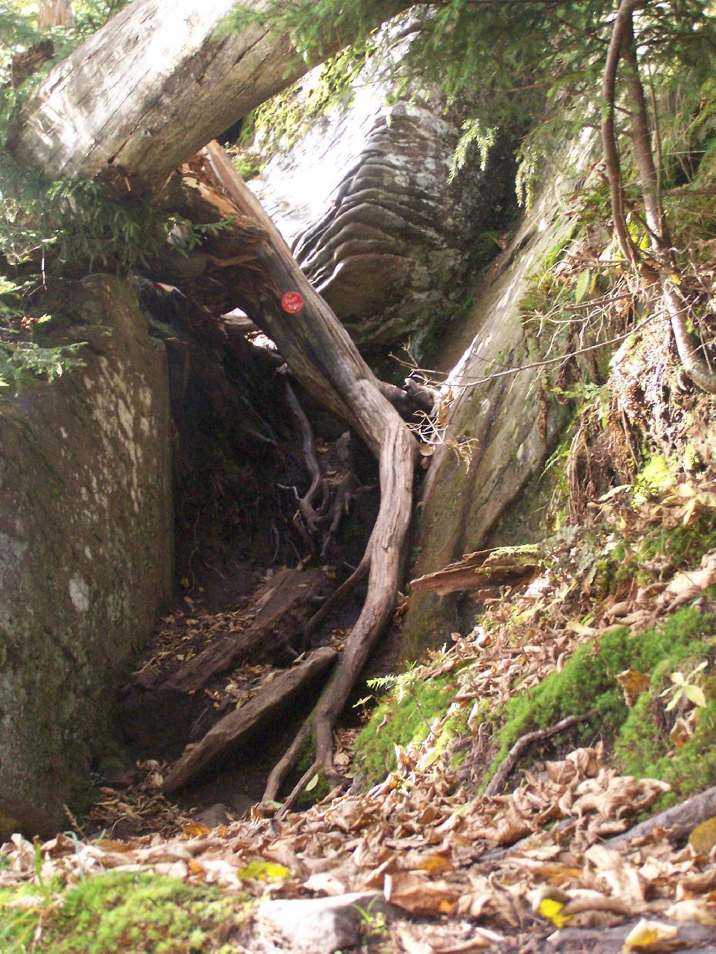 Photo: First Steep Descent Photo: First Steep Descent