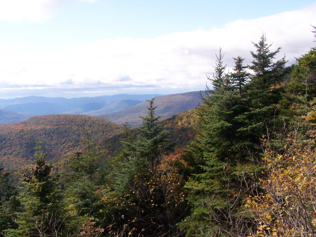Photo: Looking West Photo: Looking West