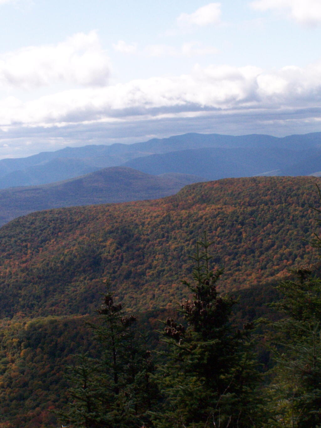 Photo: High Peaks Region Photo: High Peaks Region