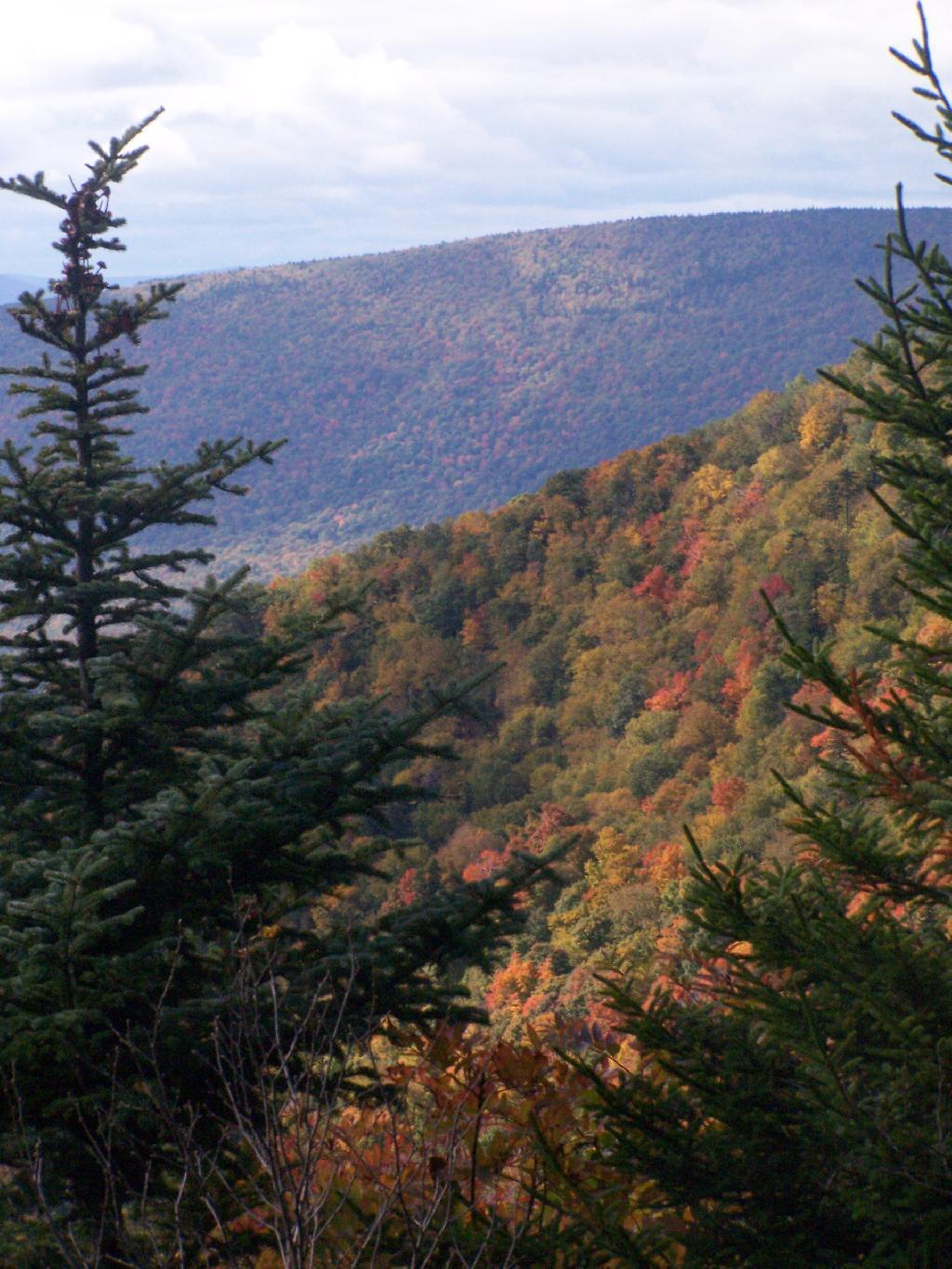 Photo: Side of Indian Head Photo: Side of Indian Head
