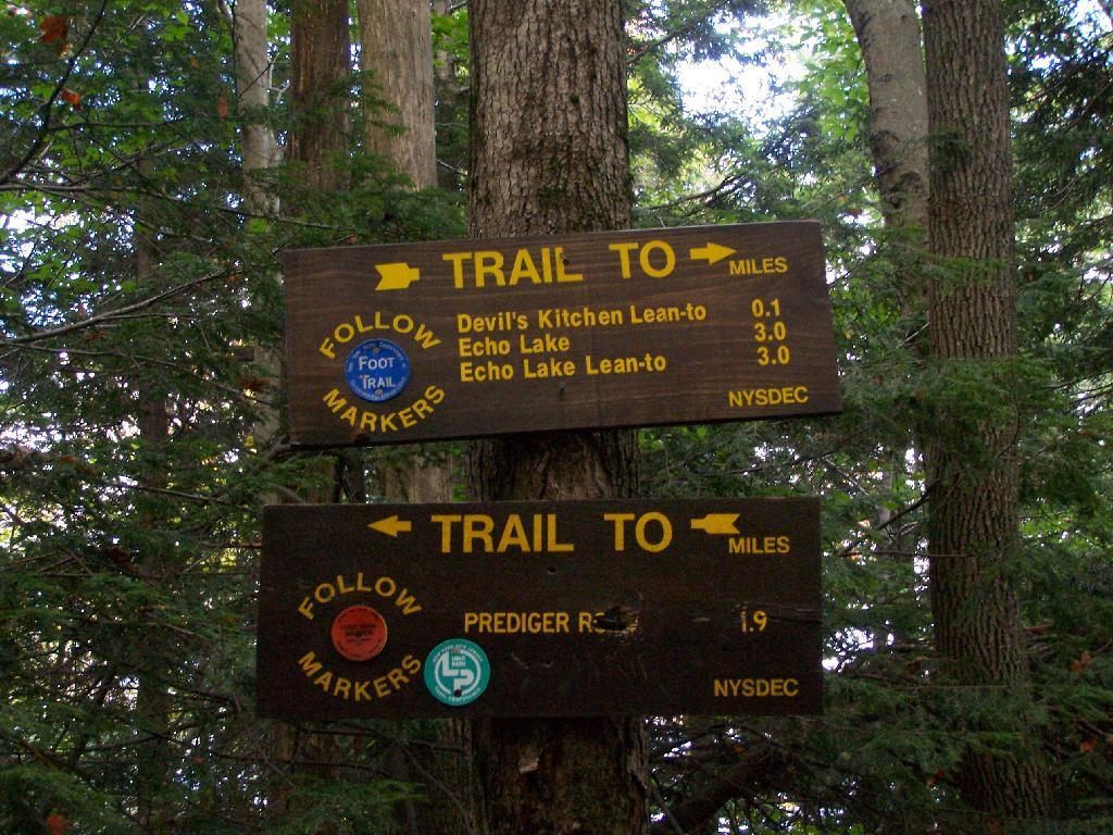 Photo: Escarptment Trail at Devil's Path Photo: Escarptment Trail at Devil's Path
