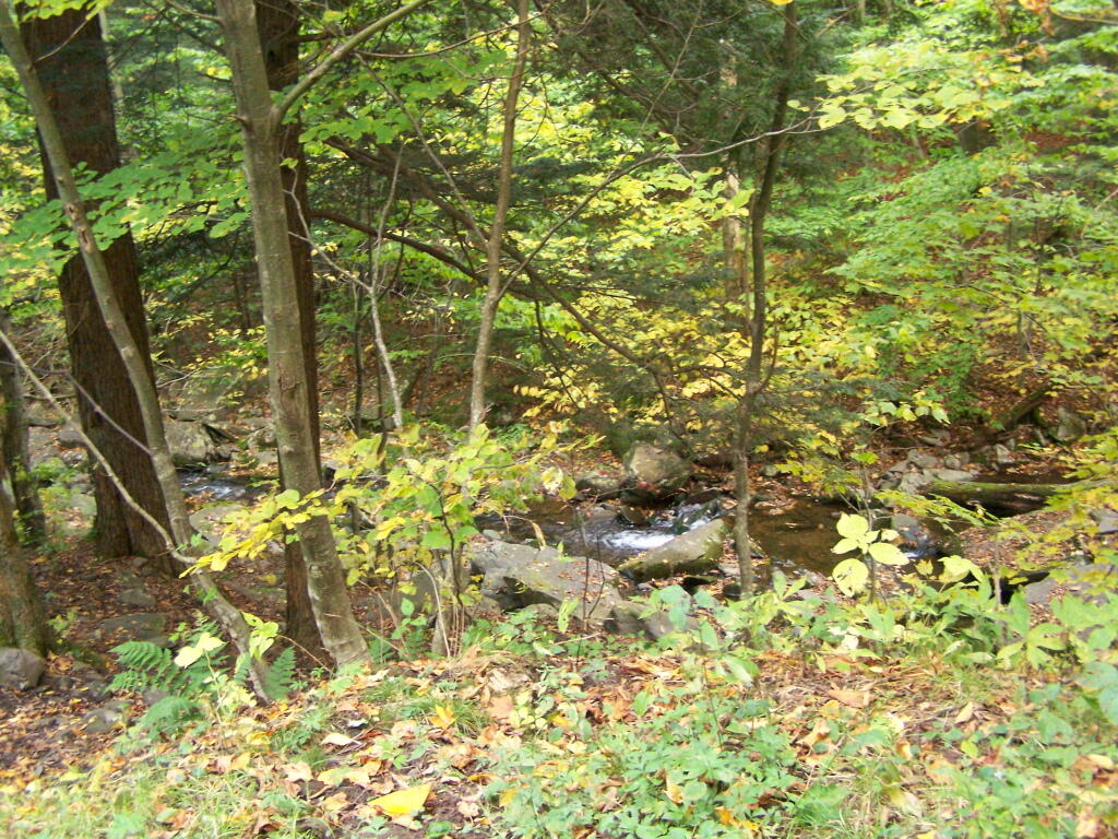 Photo: Creek at Devil's Clove Leanto Photo: Creek at Devil's Clove Leanto
