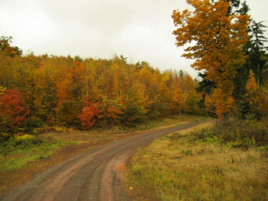 Photo: Leonard Hill Road Photo: Leonard Hill Road