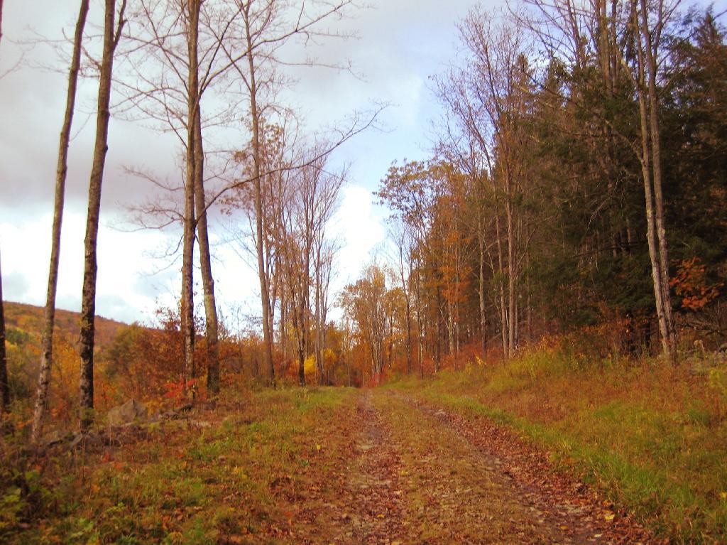 Photo: Betty Brook Road Photo: Betty Brook Road