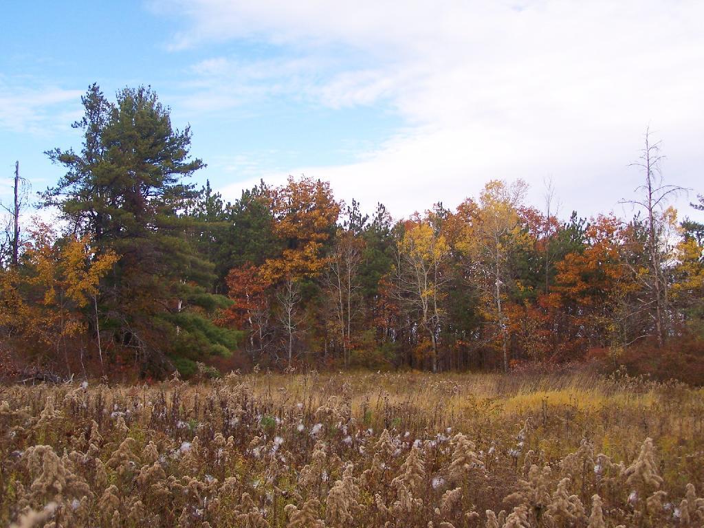 Photo: Field Near East Gravel Pit Photo: Field Near East Gravel Pit