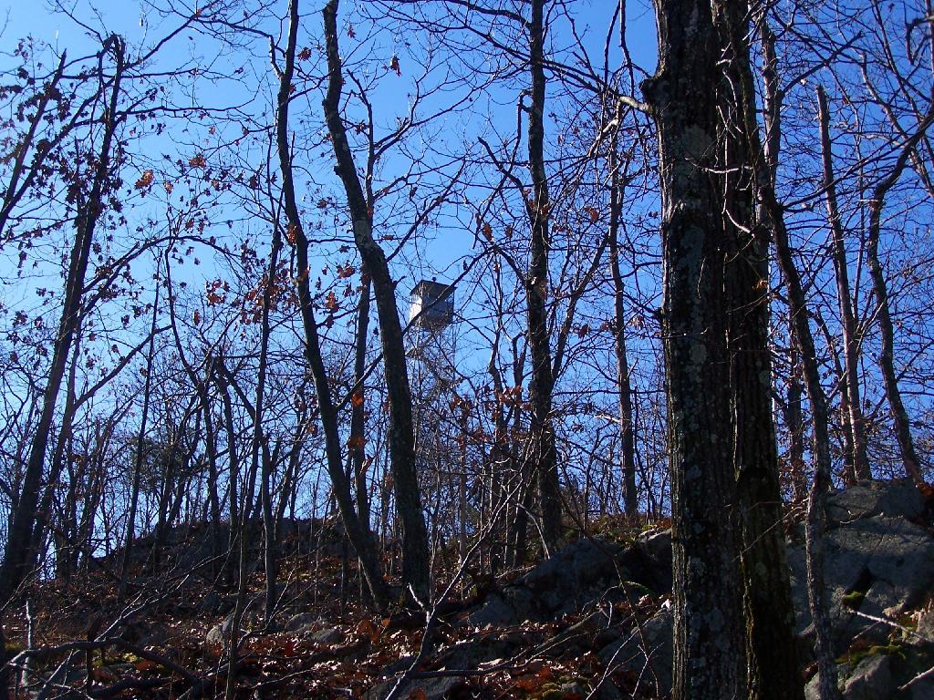 Photo: First Views of the Tower Photo: First Views of the Tower