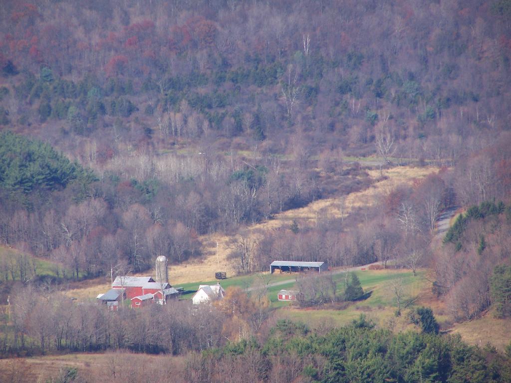 Photo: Farm Photo: Farm