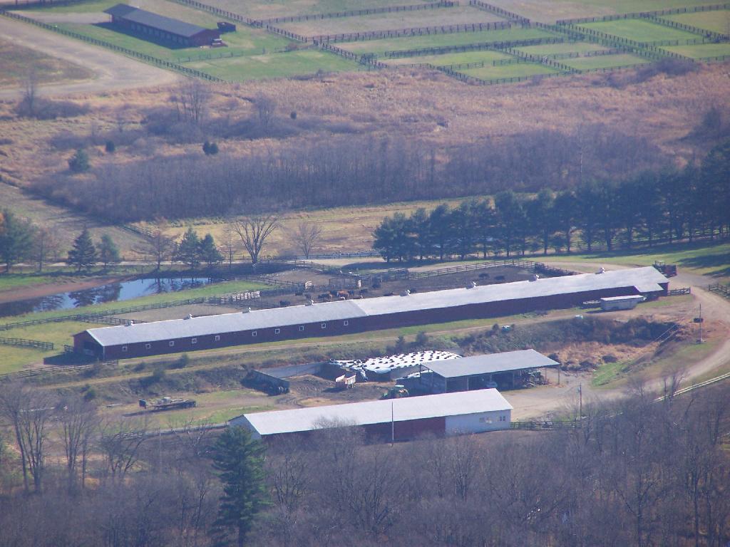 Photo: Cattle Barn Photo: Cattle Barn