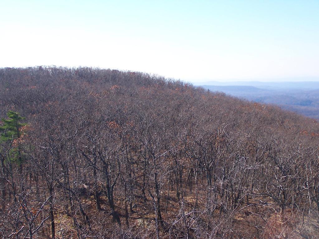 Photo: Ascent of Stissing Mountain Photo: Ascent of Stissing Mountain