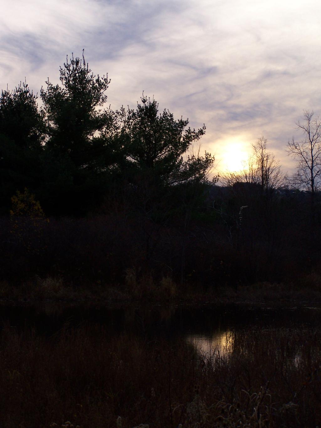 Photo: Pond Reflects Photo: Pond Reflects