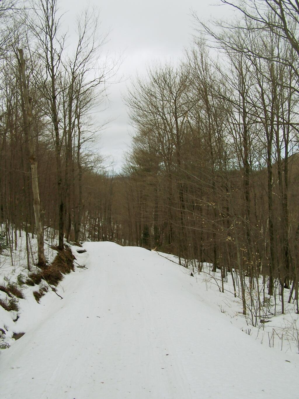 Photo: Old Woods Road Photo: Old Woods Road