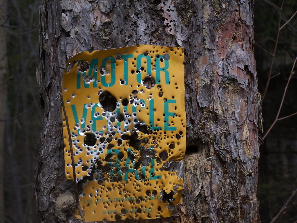 Photo: Shot Up Truck Trail Photo: Shot Up Truck Trail