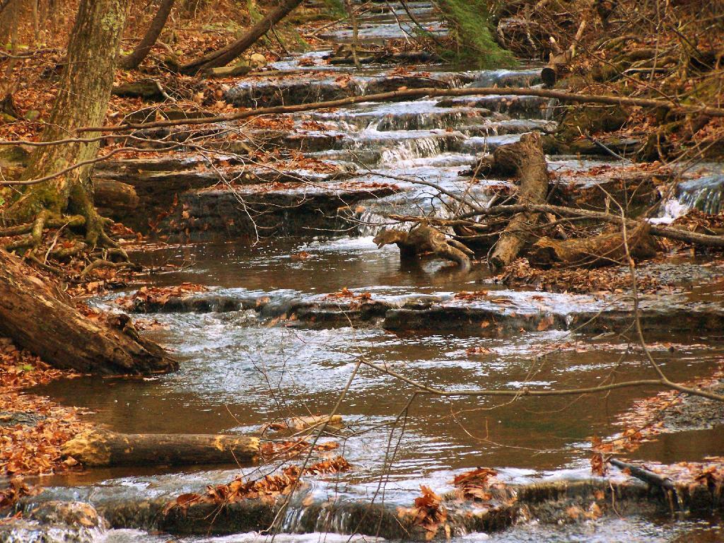 Photo: Paint Mine Creek Photo: Paint Mine Creek
