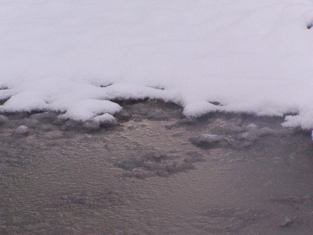 Photo: Frozen Puddle Photo: Frozen Puddle