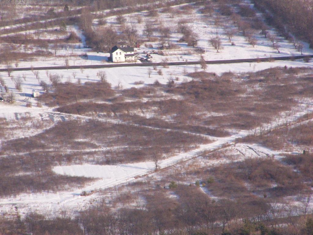 Photo: House and Road Photo: House and Road