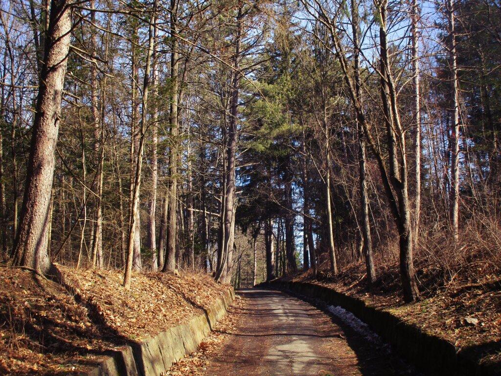 Photo: Driveway Photo: Driveway