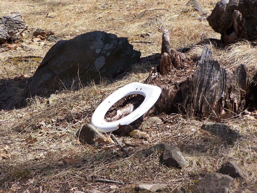 Photo: Toilet Seat Photo: Toilet Seat