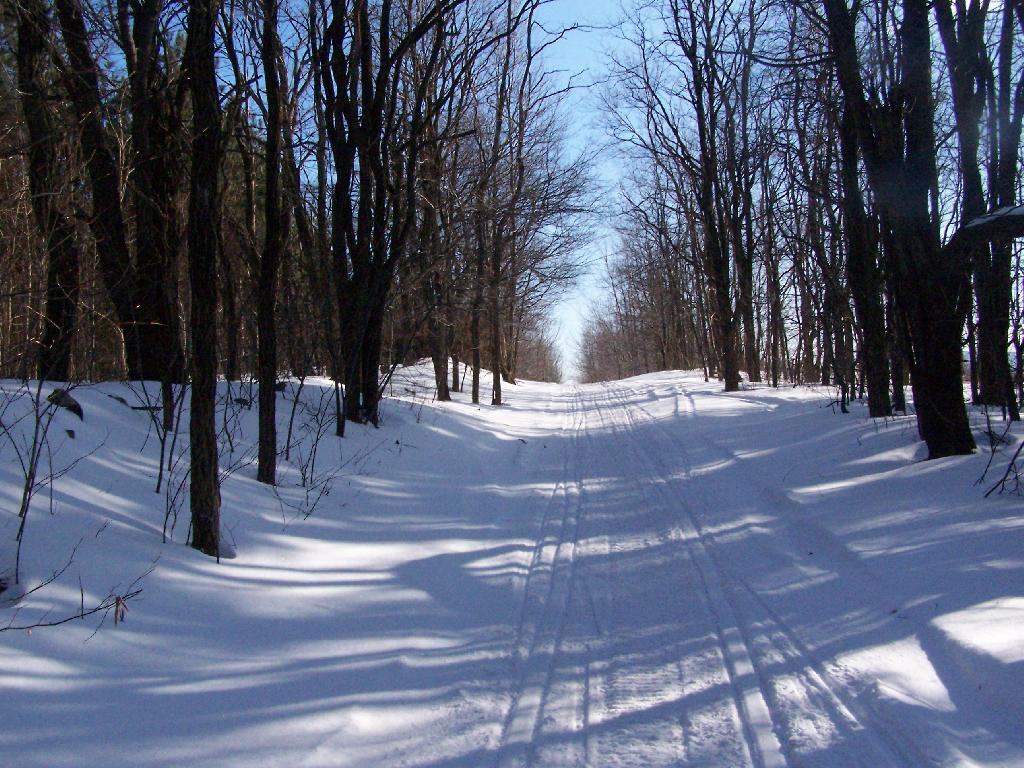 Photo: Scutt Road Photo: Scutt Road