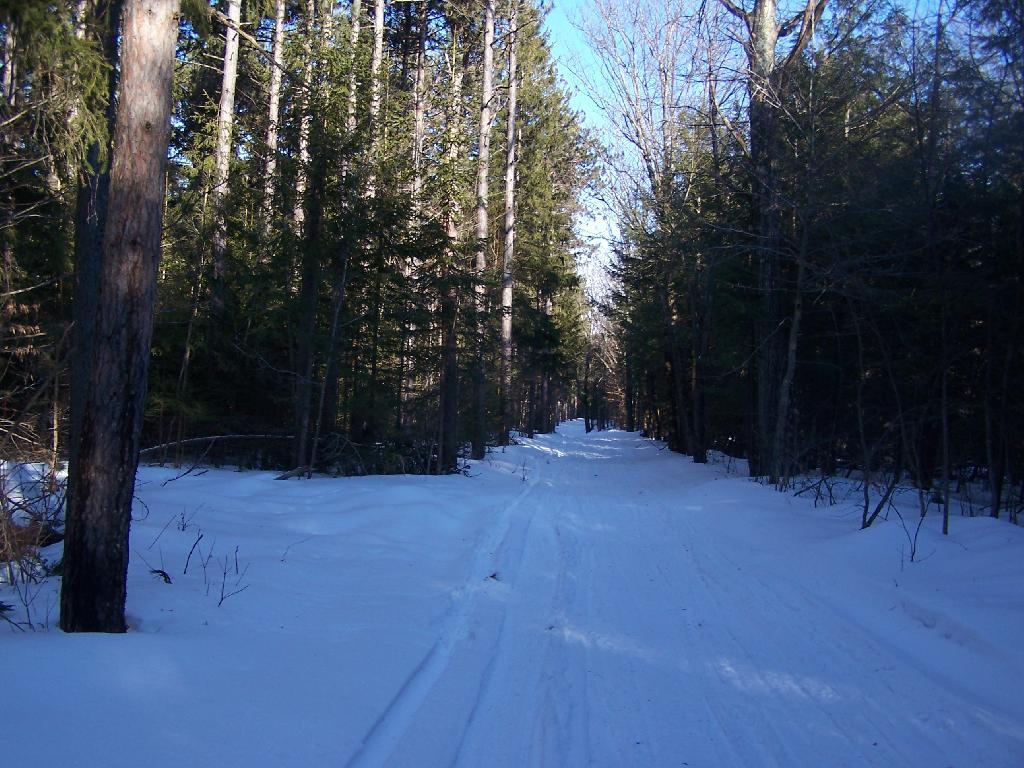 Photo: Along Truck Trail Photo: Along Truck Trail