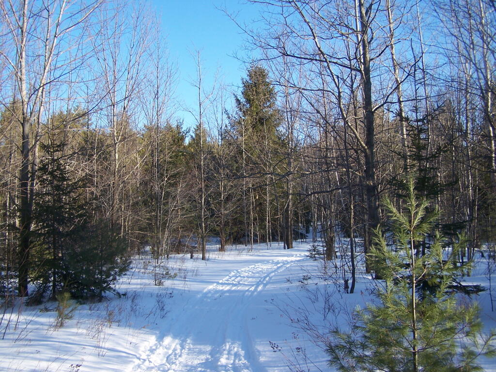 Photo: Reverting Meadow Photo: Reverting Meadow