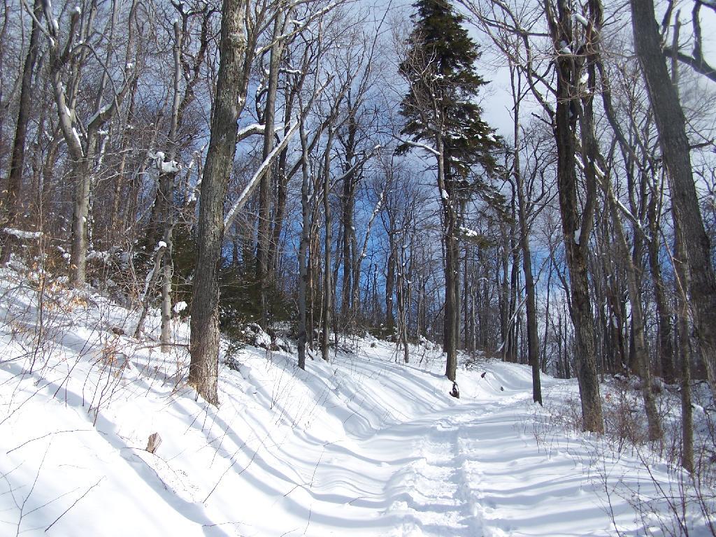 Photo: Reaching the Saddle Between Rusk and Hunter Photo: Reaching the Saddle Between Rusk and Hunter