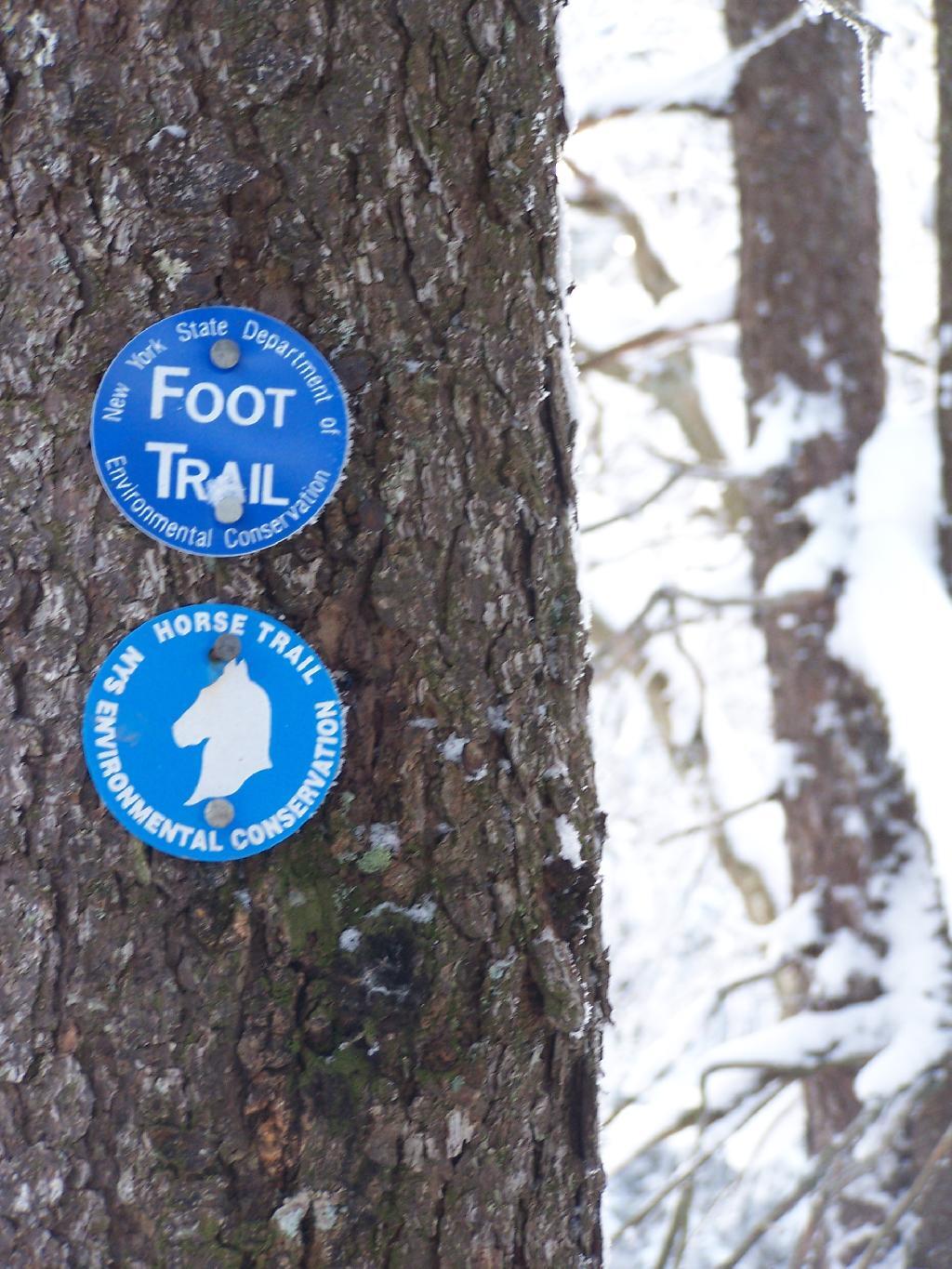 Photo: Co-Signed Spruceton Trail Photo: Co-Signed Spruceton Trail