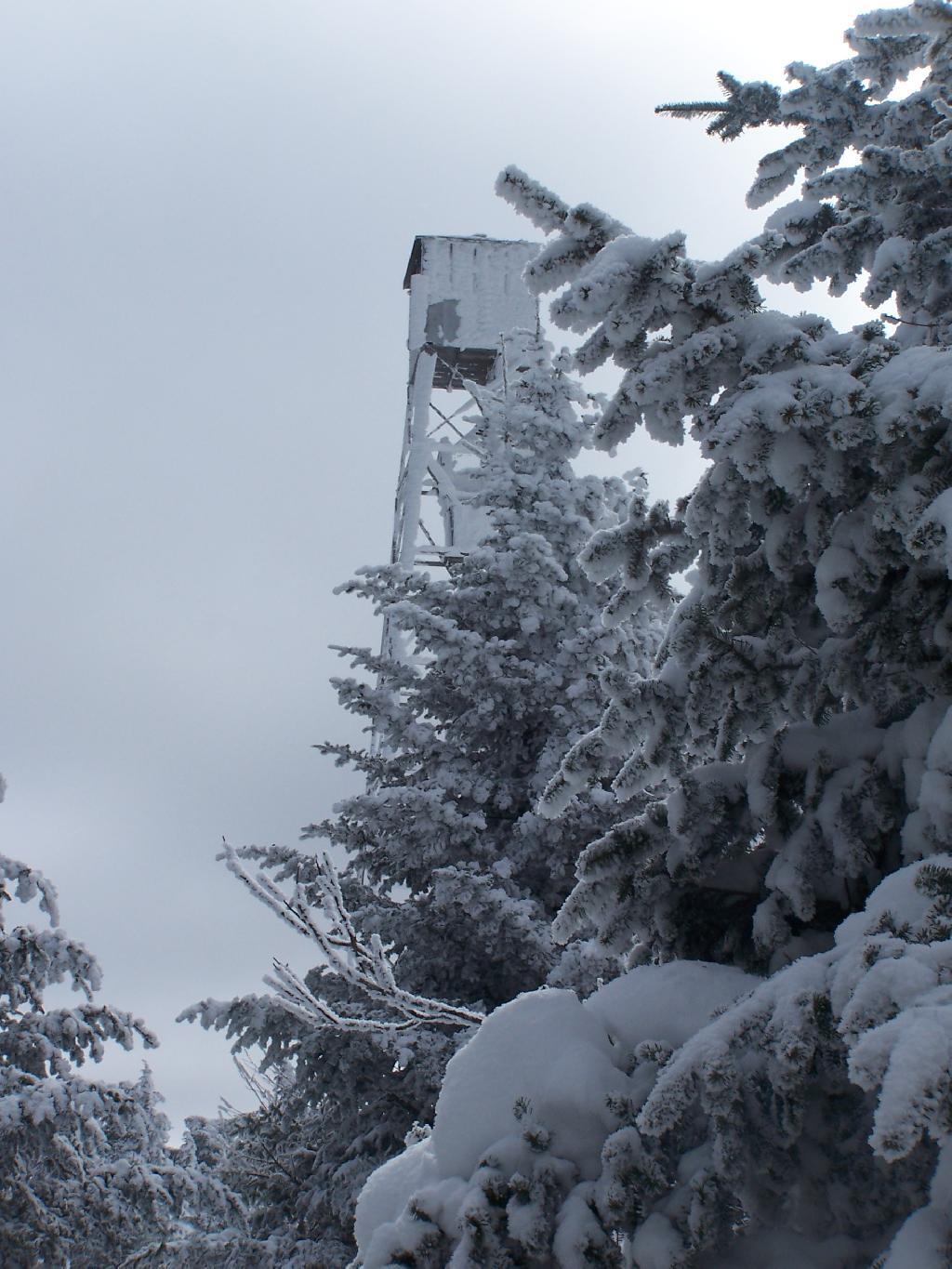 Photo: Approaching the Fire Tower Photo: Approaching the Fire Tower