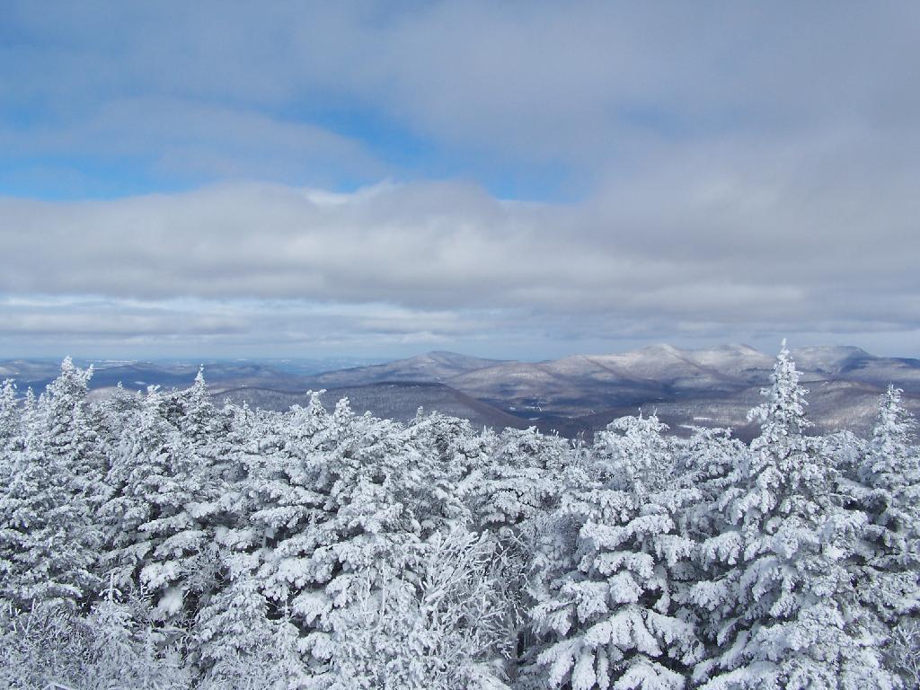 Photo: North from Tower Photo: North from Tower
